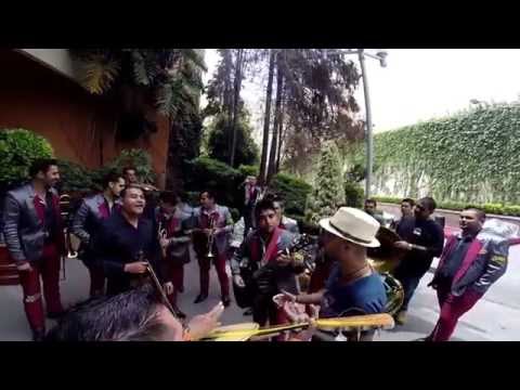 Efecto Pasillo – Sombras nada más «Palomazo»