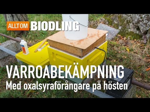 Varroabekämpning med oxalsyraförångare på hösten - Bihälsa