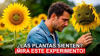 Las PLANTAS SIENTEN y fue demostrado en este Controvertido EXPERIMENTO