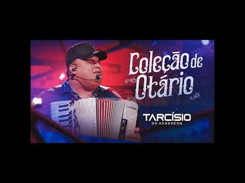COLEÇÃO DE OTÁRIO - Tarcísio do Acordeon DVD Meu Sonho [+ LETRA]
