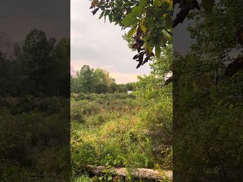 L080 Westbound at Powder Mill Road Exeter 9/19/24