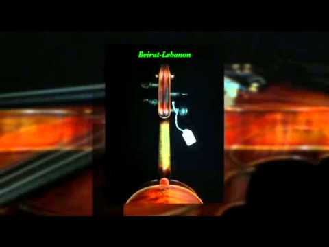 Amazing violin no 103 handcrafted by PAG.