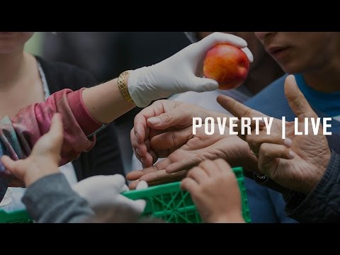 Able-bodied adults, work, and food assistance: What are states doing, and is it working?