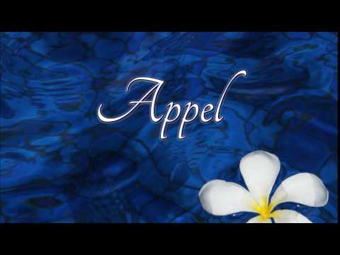 How to pronounce appel in French