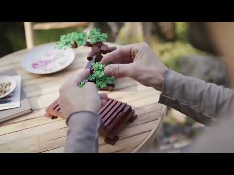 LEGO Botanicals Albero Bonsai 10281
