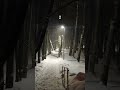 ️ Dreamcore Weirdcore Traumacore Liminal Spaces Part 7 Shorts