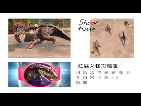 週四突襲頭目-蛇髮女怪斑鱷龍