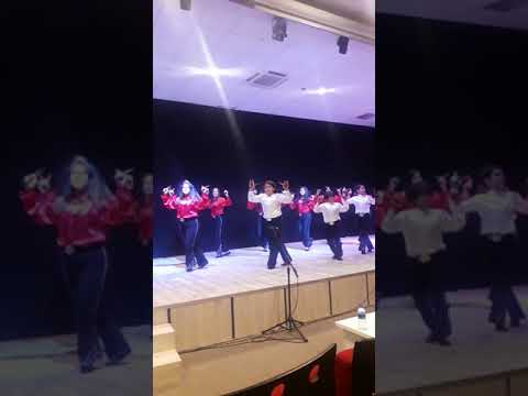 ERİK DALI MUHTEŞEM SHOW METE