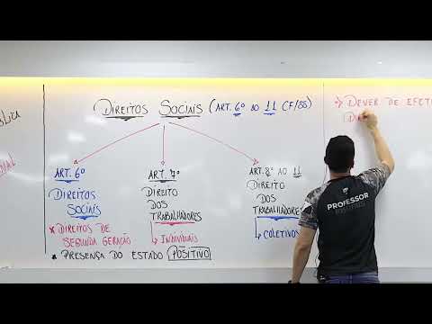 Direitos Sociais Art  6° ao 11 CF/88
