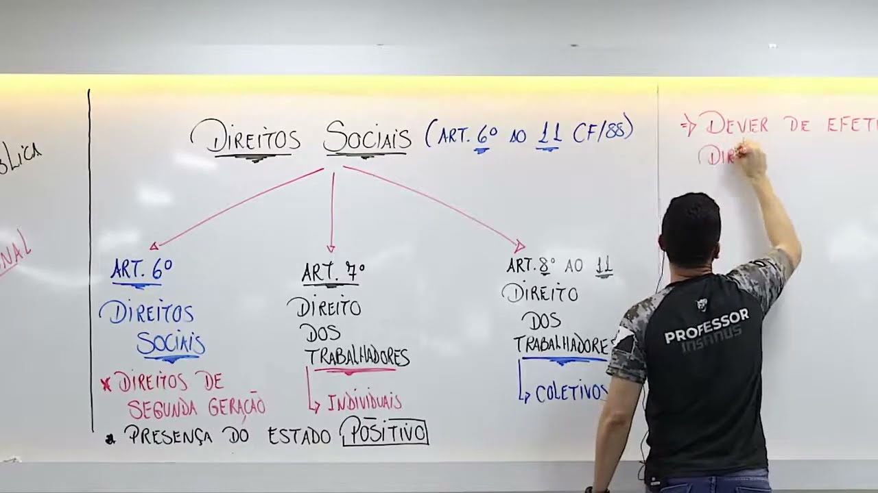 Direitos Sociais Art  6° ao 11 CF/88