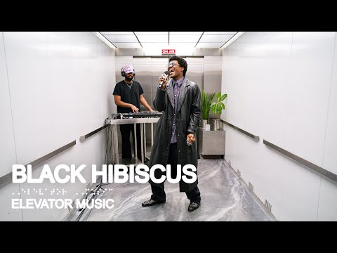 Black Hibiscus (Live Performance) - Elevator Music