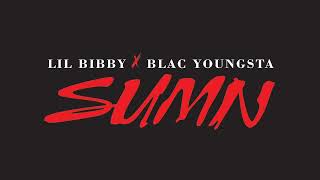 Lil Bibby &amp; Blac Youngsta - Sumn (741Hz)