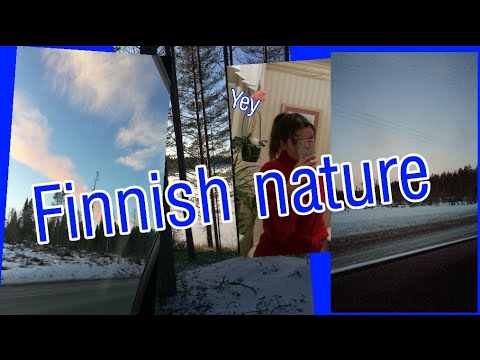 5 months of Finnish nature//Exchange year 2019/2020 Finland