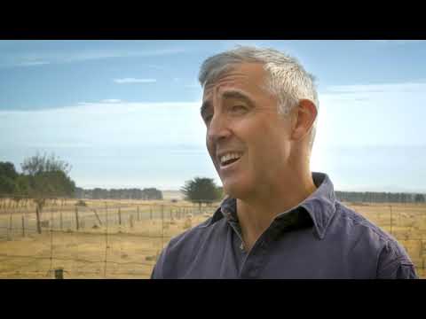 Meat Standards Australia (MSA) Brand Owners