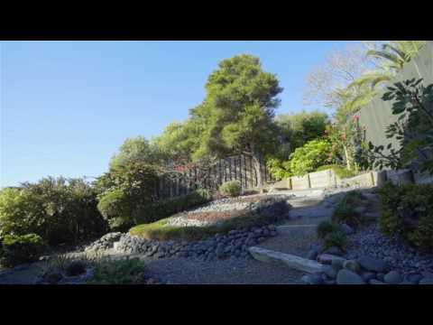 SOLD - 15A Queenstown Road, Hillsborough - Wayne Guo and Coco Wang