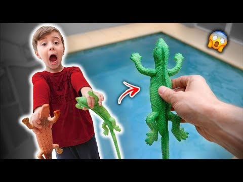 🦎LAGARTO DE BRINQUEDO QUE CRESCE NA AGUA - Brancoala e Marcos