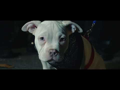 G.E.M.S-Different (Zno, Bagz DA Billy, Rocko Rackz, Puday PIff)