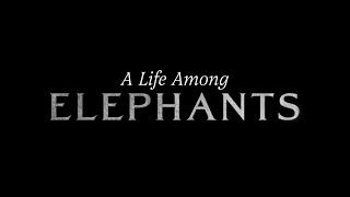 A Life Among Elephants - TRAIL 2024
