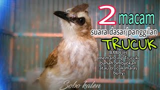 Download lagu Dua macam suara dasar panggilan trucuk Ampuh memancing trucukan bahan ombyokan jadi bunyi mp3