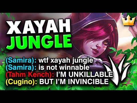 XAYAH JUNGLE: QUESTO VIDEO TI FARÀ GODERE