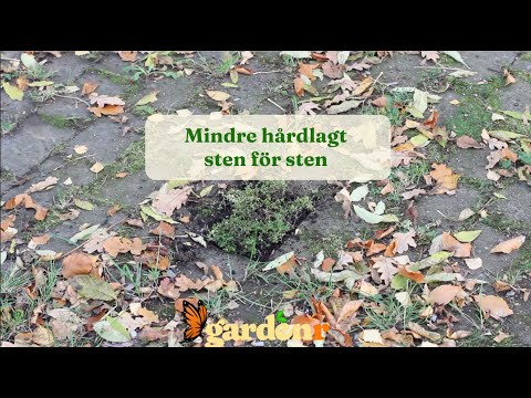 Mindre hårdlagd yta, sten för sten - Trädgårdshacks med GardenR