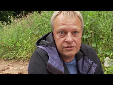 Project from 06.07.2018 Creation of yellow-bellied toad spawning waters