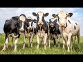 GROCERY BILLS ARE TOO HIGH: Supply management must go!