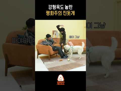 줄리는 평화를 사랑해~