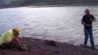 Roger Clyne &amp; The Peacemakers &quot;Maybe We Should Fall In Love&quot;