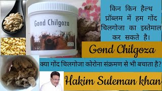 || Gond chilgoza full Review in Hindi || #GondChilgoza #Pinenuts #chilgoza  #HakimSulemankhan
