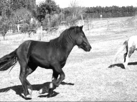 Bambin du Coulazou ; 1 mois & Demi.