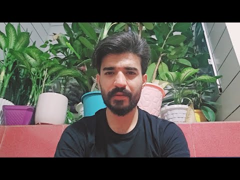 Why can’t Imran say anything about Najmeh’s death? Peren