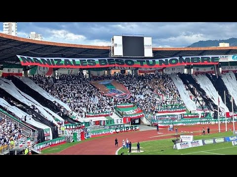 Holocausto Norte ( Once Caldas vs Deportivo Pasto ) Goles ⚽️