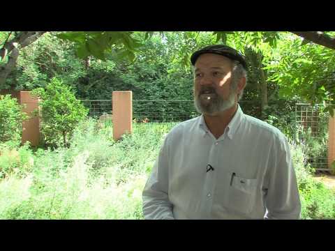 From Morphine to Muthi: A tour through plant poisons and medicines with Prof Ben-Erik van Wyk