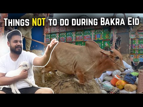 THINGS NOT TO DO DURING BAKRA EID