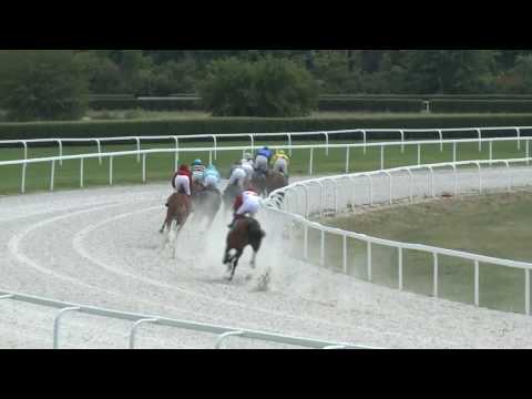 2017.07.23. 2. futam - VADÁSZ ÉS VERSENYLAP HENDIKEP (V/b.) (szintetikus pálya)