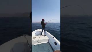 Pria topi merah itu mancing ikan tuna ukuran kecil #shorts #fyp #fishing #mancing #ikan #tuna