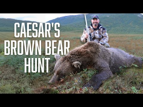 Alaska Brown Bear Hunt with Caesar Fonte