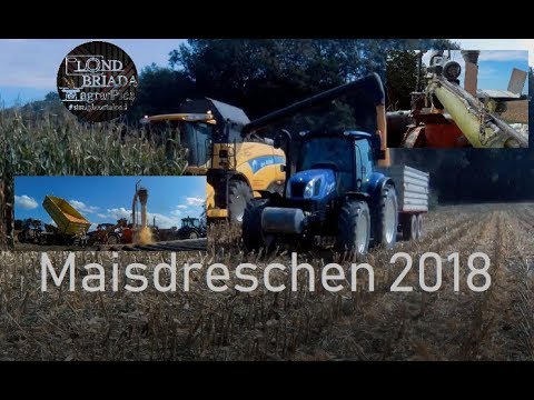 Londbriada | Maisdreschen | Steyr WD 815 | New Holland | Full HD