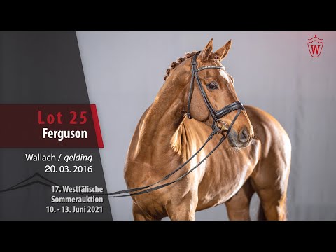 Westfälische Sommer-Auktion Lot 25 Ferguson Wallach v. Floriscount -  Lauries Crusador xx