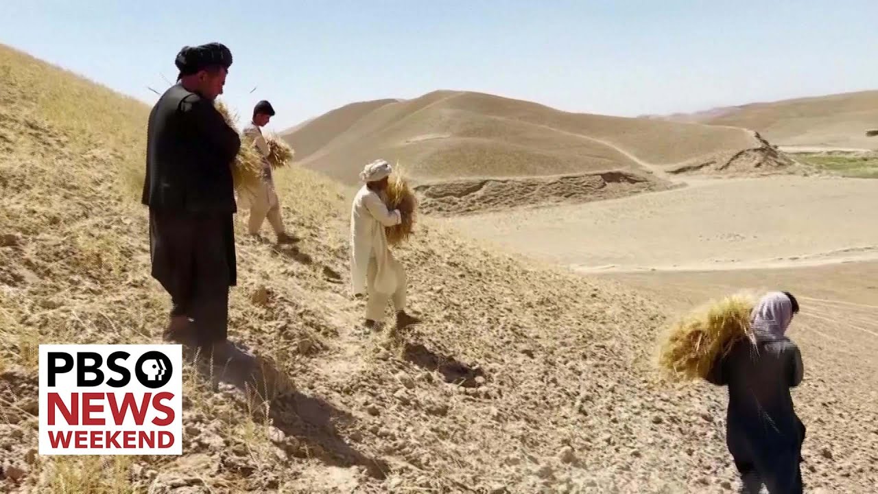 How climate change is disrupting the global food supply