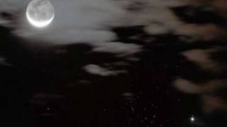 Riccardo Cocciante-Un nuovo amico