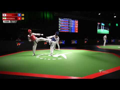 2019 Sofia WT GP QF M  68KG Dae Hoon Lee KOR M  Hosseini IRI