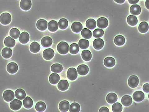 CCC0902161 @2013.04.05 photos