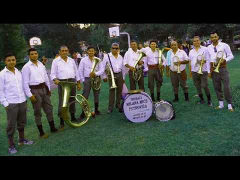 Milan Petrovic New 2018 Vlaska setnja