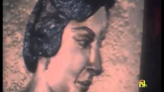 Nargis