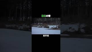 東北の雪と走行音 #鉄道