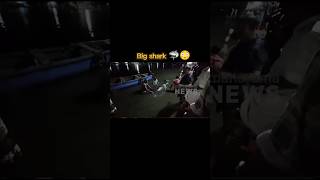 Download lagu Most viewed 💯😳|#relatable #instagram #news #shark #fishing #fish #youtubeshorts #youtube mp3