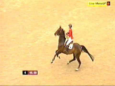 Meredith Michaels Beerbaum - Checkmate - European Championships - Windsor