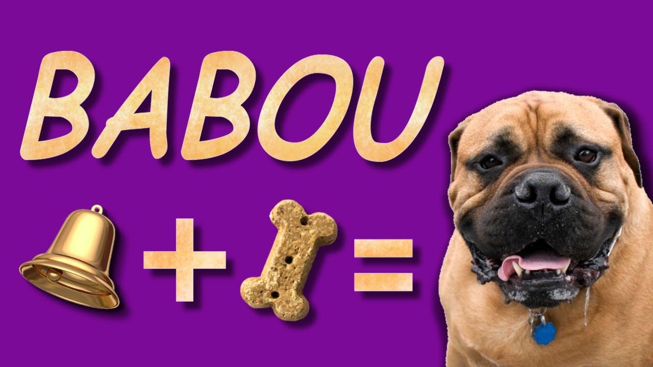 Condicionamento Clássico - Ivan Pavlov